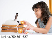 Smiling little girl and with their beloved fluffy rabbit, showcasing the beauty of friendship between humans and animals. Стоковое фото, агентство Ingram Publishing / Фотобанк Лори