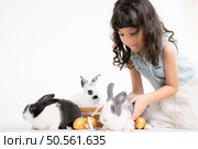 Smiling little girl and with their beloved fluffy rabbit, showcasing the beauty of friendship between humans and animals. Стоковое фото, агентство Ingram Publishing / Фотобанк Лори