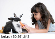 Smiling little girl and with their beloved fluffy rabbit, showcasing the beauty of friendship between humans and animals. Стоковое фото, агентство Ingram Publishing / Фотобанк Лори