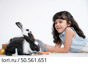 Smiling little girl and with their beloved fluffy rabbit, showcasing the beauty of friendship between humans and animals. Стоковое фото, агентство Ingram Publishing / Фотобанк Лори