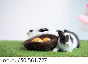 Easter eggs and a rabbit in a basket on grass. Стоковое фото, агентство Ingram Publishing / Фотобанк Лори
