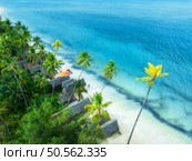 Aerial view of green palms, bungalows, white sandy beach, ocean with waves at sunset in summer. Top view of wooden houses, sea with azure water, palms. Luxury resort in Zanzibar. Tropical background. Стоковое фото, агентство Ingram Publishing / Фотобанк Лори