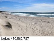 Tranquil beach of Duna do Caldeirao, near Vila Praia de Ancora. Scene with rolling sand dunes, crashing waves, and distant figures. Стоковое фото, агентство Ingram Publishing / Фотобанк Лори