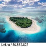 Aerial view of blue sea and amazing Mnemba island, Zanzibar. Top view of white sandy beach, green trees, palms, ocean with clear azure water on summer sunny day. Tropical landscape. Exotic. Travel. Стоковое фото, агентство Ingram Publishing / Фотобанк Лори