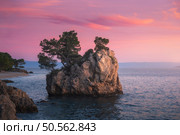 Famous rock with green trees on top and blue sea in Brela, Croatia at sunset in summer. Colorful landscape with sea, cliff and pink sky at dusk. Travel. Nature background. Sea coast and calm water. Rock with trees on top and blue sea at sunset in summer. Croatia. Стоковое фото, агентство Ingram Publishing / Фотобанк Лори
