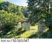 An ancient bridge nestled in a tranquil forest, embraced by lush greenery. Guarda - Portugal. Стоковое фото, агентство Ingram Publishing / Фотобанк Лори