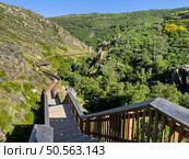 Lush green hills cradle a scenic wooden walkway under a clear blue sky. Guarda - Portugal. Стоковое фото, агентство Ingram Publishing / Фотобанк Лори