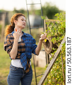 Using mosquito repellent - woman applying mosquito repellent to skin. Стоковое фото, фотограф Яков Филимонов / Фотобанк Лори