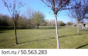View of Ovar’s City Park crossed by the Caster River. Стоковое фото, агентство Ingram Publishing / Фотобанк Лори