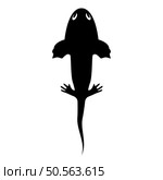 Axolotl ambystoma mexicanum overhead view icon black color vector illustration image flat style simple. Axolotl ambystoma mexicanum overhead view icon black color vector illustration image flat style. Стоковая иллюстрация, агентство Ingram Publishing / Фотобанк Лори