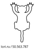 Cat scratching harm contour outline line icon black color vector illustration image thin flat style simple. Cat scratching harm contour outline line icon black color vector illustration image thin flat style. Стоковая иллюстрация, агентство Ingram Publishing / Фотобанк Лори