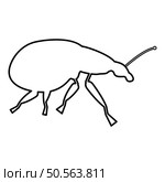 Weevil insect pest contour outline line icon black color vector illustration image thin flat style simple. Weevil insect pest contour outline line icon black color vector illustration image thin flat style. Стоковая иллюстрация, агентство Ingram Publishing / Фотобанк Лори
