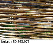 Fence made of tree branches stems of cane knotted wicker rods wattle twig horizontal. Стоковое фото, агентство Ingram Publishing / Фотобанк Лори