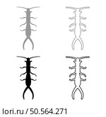 Earwig set icon grey black color vector illustration image simple solid fill outline contour line thin flat style. Earwig set icon grey black color vector illustration image solid fill outline contour line thin flat style. Стоковая иллюстрация, агентство Ingram Publishing / Фотобанк Лори
