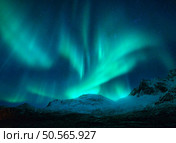 Northern lights over the snowy mountains at night in Lofoten, Norway. Aurora borealis above the snow covered rocks. Winter landscape with polar lights, mountain peak. Starry sky with bright aurora. Northern lights over the snowy mountains at night in Norway. Стоковое фото, агентство Ingram Publishing / Фотобанк Лори