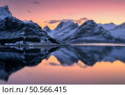 Pink and orange sunset sky over snowy mountains reflecting in a calm lake. Lofoten islands, Norway. Winter landscape with fjord, sea, colorful sky, rorbu, rocks in snow, reflection in water. Nature. Tranquil winter scene: pink and orange sunset sky over snowy mountains reflecting in a calm lake in the lofoten islands, norway. Стоковое фото, агентство Ingram Publishing / Фотобанк Лори