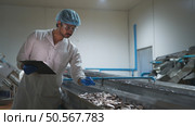 Raw material quality inspectors evaluate and inspect fish pieces before they enter the canned fish production process. Стоковое фото, агентство Ingram Publishing / Фотобанк Лори