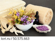 Honeysuckle and lavender flower blossom, cream  towels, exfloiating spa scrub, aromatherapy essential oil bottle, coral and oyster shell with bath pearls over slate. Стоковое фото, агентство Ingram Publishing / Фотобанк Лори