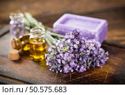 Wellness treatments with lavender flowers on wooden table. Spa still-life.. Wellness treatments with lavender flowers. Стоковое фото, агентство Ingram Publishing / Фотобанк Лори