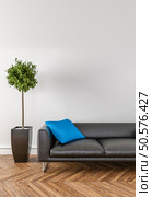 Put your creation on this empty area. Parquet on the floor, sofa and interior plant. Стоковое фото, агентство Ingram Publishing / Фотобанк Лори