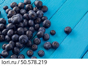 Close Up Of Organic Blueberries. Concept For Healthy Eating And Nutrition. Bluberries. Стоковое фото, агентство Ingram Publishing / Фотобанк Лори