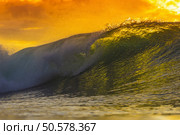 Colored Ocean Wave Falling Down at Sunset Time. Стоковое фото, агентство Ingram Publishing / Фотобанк Лори