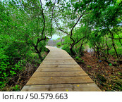 Maldives paradise scenery. Tropical aerial landscape, seascape with long jetty, water villas with amazing sea and lagoon beach, tropical nature. Exotic tourism destination banner, summer vacation. Стоковое фото, агентство Ingram Publishing / Фотобанк Лори