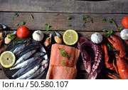 many types of fish on the table. We find lobster, sardines, clams, Octopus, and salmon. Стоковое фото, агентство Ingram Publishing / Фотобанк Лори