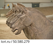 terra-cotta warriors in Xian, China. Стоковое фото, агентство Ingram Publishing / Фотобанк Лори