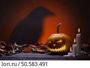 Pumpkin for Halloween, lamp pumpkin, crow silhouette, antique wood, celebrating halloween, smiley on a pumpkin, paraffin candles, bright background, angry face, burning candles, autumn dry leaves. Pumpkins for Halloween and the silhouette of a raven. Стоковое фото, агентство Ingram Publishing / Фотобанк Лори