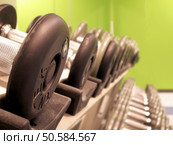 Sports and people gym fitness center concept. Стоковое фото, агентство Ingram Publishing / Фотобанк Лори