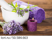 Wellness treatments with lavender flowers on wooden table. Spa still-life.. Wellness treatments with lavender flowers. Стоковое фото, агентство Ingram Publishing / Фотобанк Лори