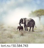 Young Elephant With Its Mother . Стоковое фото, агентство Ingram Publishing / Фотобанк Лори