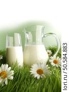 Glass of milk and jar on fresh grass meadow with chamomiles. Стоковое фото, агентство Ingram Publishing / Фотобанк Лори
