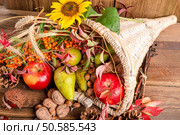 Cornucopia. Стоковое фото, агентство Ingram Publishing / Фотобанк Лори