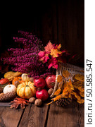 Cornucopia. Стоковое фото, агентство Ingram Publishing / Фотобанк Лори