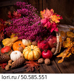 Cornucopia. Стоковое фото, агентство Ingram Publishing / Фотобанк Лори