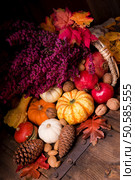 Cornucopia. Стоковое фото, агентство Ingram Publishing / Фотобанк Лори