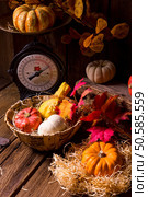 Cornucopia. Стоковое фото, агентство Ingram Publishing / Фотобанк Лори