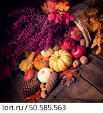 Cornucopia. Стоковое фото, агентство Ingram Publishing / Фотобанк Лори