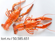 Boiled crayfish on the white background. Стоковое фото, агентство Ingram Publishing / Фотобанк Лори