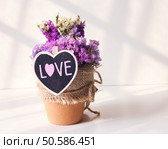 Dry flowers in the flower pot for valentines day. Стоковое фото, агентство Ingram Publishing / Фотобанк Лори