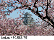 Himeji Castle is the most beautiful and most famous of all Japanese Castles. As typical example of Japanese medieval castle architecture, ist was made part of world heritage by UNESCO. Стоковое фото, агентство Ingram Publishing / Фотобанк Лори