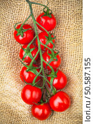 red cherry tomatoes twig on brown sacking. Стоковое фото, агентство Ingram Publishing / Фотобанк Лори