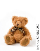 Teddy Bear toy. Стоковое фото, агентство Ingram Publishing / Фотобанк Лори
