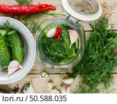 Cucumbers for pickling. Fresh cucumbers ready for canning with dill, garlic and spices.  Selective focus. Стоковое фото, агентство Ingram Publishing / Фотобанк Лори