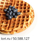 Warm Waffle Breakfast with blueberries  made in a home kitchen. Стоковое фото, агентство Ingram Publishing / Фотобанк Лори