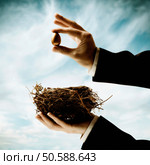 Businessman’s hands holding nest and small egg. 24316776. Стоковое фото, агентство Ingram Publishing / Фотобанк Лори