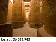 Egypt-Copyright-Sinidex-Solutions-Inc. Стоковое фото, агентство Ingram Publishing / Фотобанк Лори