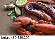 many types of fish on the table. We find lobster, sardines, clams, Octopus, and salmon. Стоковое фото, агентство Ingram Publishing / Фотобанк Лори